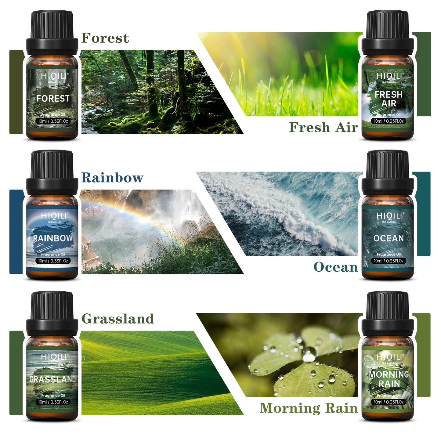 EssentialFragance Oils-Nature Theme Box of 6 Set